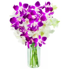 Blooms2Door PRIME NEXT DAY DELIVERY - Mother’s Day Collection - Exotic Opal Bouquet of 5 Purple and 5 White Orchids with Vase.Gift for Birthday, Thank You, Valentine, Mother’s Day Fresh Flowers