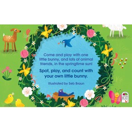 One LIttle Bunny: A Counting Playbook - Children's Board Book Gifts for Easter Baskets and Springtime Fun, Ages 1-5