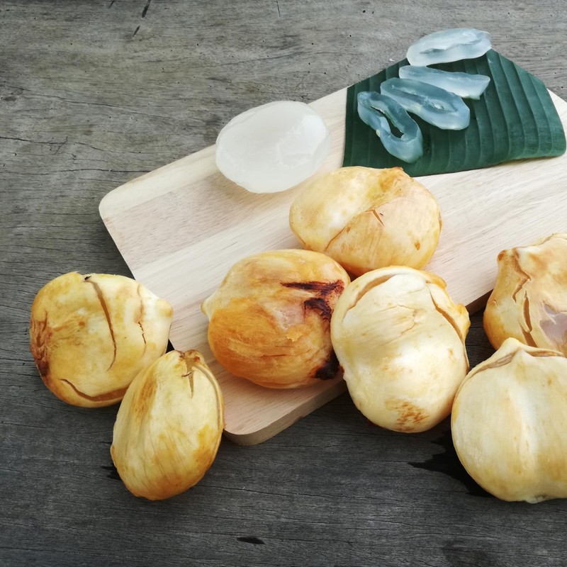 Aroy-D Toddy Palms Seed and Jackfruit In Syrup - 20oz