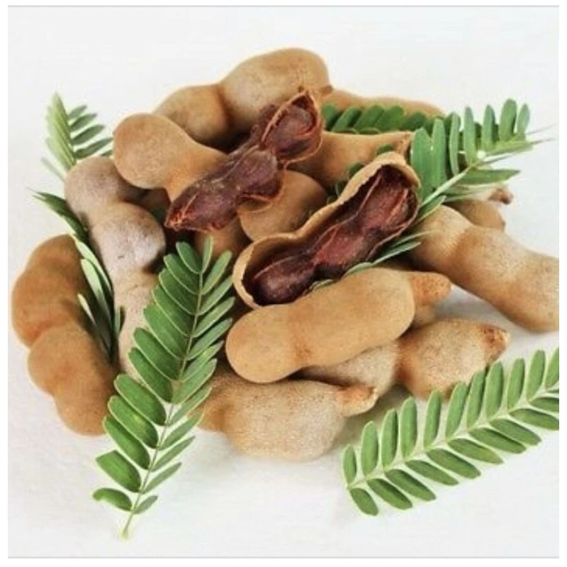 Asantee 2 x Asantee Thai Herbal Tamarind Honey Soap Skin