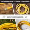 IRON FORGE CABLE 15 Foot Lighted Outdoor Extension Cord with