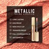 Depuplum Bronze Lipsticks for Women Metallic Lipstick Long Lasting Non