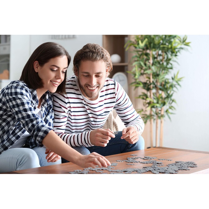 500 Piece Puzzle for Adults Hygge Collection Cozy Fireplace by