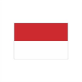 Womaha 30 individual Temporary Indonesia Flag Tattoos Fans Face Tattoo Stickers for Adults Kids Group Activity Props