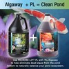 MICROBE-LIFT ALGAGAL Algaway 5.4 Algae Control Treatment for Ponds and
