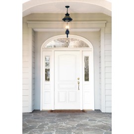 Giani Wood Look Paint Kit for Front & Interior Doors (English Oak) English Oak