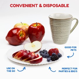 Hygloss Products 69109 Paper Plates (69109), 9", 100 Pcs