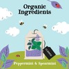 Clipper Organic Peppermint & Spearmint Infusions Fruit Teabags / 80