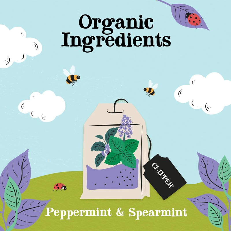 Clipper Organic Peppermint & Spearmint Infusions Fruit Teabags / 80