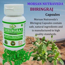Bhringraj (Eclipta Prostrata) Capsules for Men and Women | Ayurvedic Herbal Supplement | 500 mg. per Serving | 60 Veggie Capsules | Made with Natural Extract of Bhringraj Plant (Pack of 1 Jar)