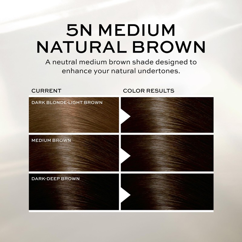 John Frieda Precision Foam Hair Color, Medium Natural Brown 5N,