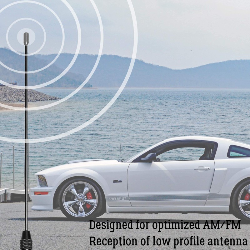 Julight Antena Ford Mustang de 8 Pulgadas