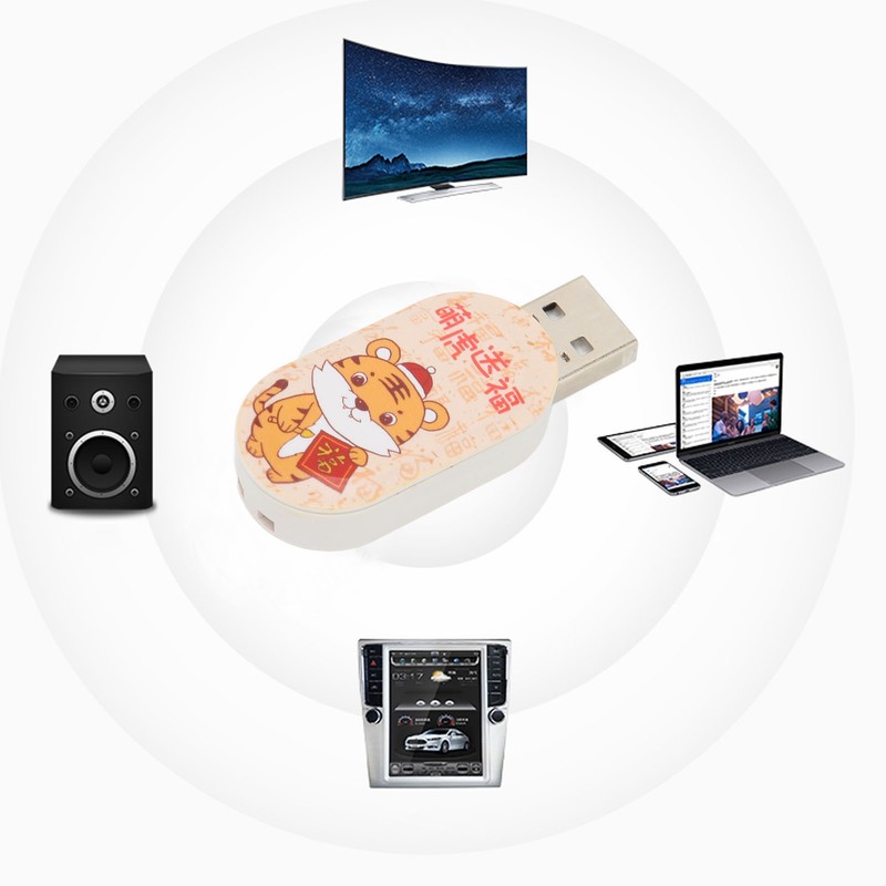 Flash Drive USB Interface Electronic Storage Media Hot Swap Cute