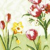 'Napkins "Red Tulip – 33 x 33 cm – Pack of 50