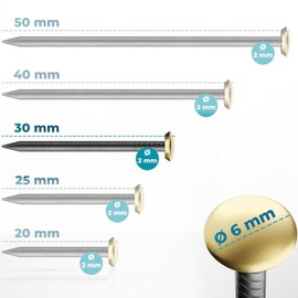 FIXXIA Picture Nails with or without Impact Aid, 30 Pieces Diameter 2 mm, Black with Gold or Silver Decorative Head Diameter 6 mm, 20, 25, 30, 40, 50 mm, Concrete Nails, Wall Nail (Gold, 30 mm)