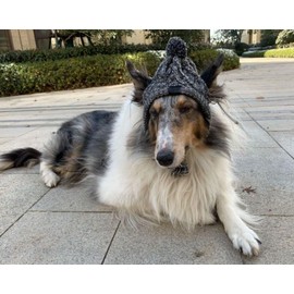 Polar Pom Pom Hat, Warm Pet Dog Knitted Hat,Pet Dog Winter Knitted Hat, Hats for Small Dogs, Winter Dog Hat with Ear Holes and Long Tassel (Grey, Large)