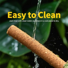 Repticircle Cork Branch for Reptiles – 19.6" Natural Climbing Wood Sticks for Crested Geckos, Tree Frogs, Bearded Dragons, Snakes, Lizards & Chameleons – Perfect Terrarium Habitat Decor