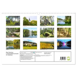 Bad Sachsa Landscape Moments in the South Harz (Wall Calendar 2026 DIN A3 Landscape), CALVENDO Monthly Calendar