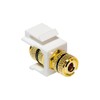 Faconet Set with 2x Audio Cable Speaker Cable Binding Post