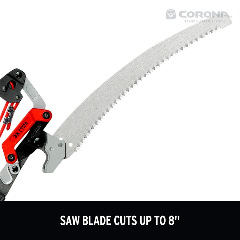 Corona TP 4210 DualLink Tree Saw and Pruner, 10 Feet