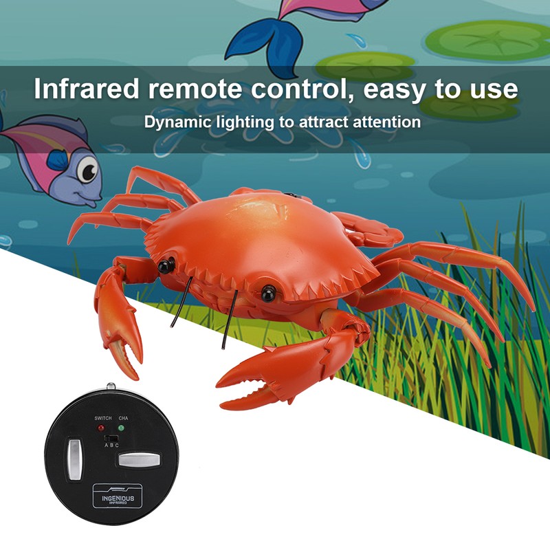 Funny High Simulation Remote Control Infrared Animal Crab Kid Trick