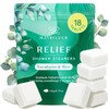 Eucalyptus Mint Shower Steamers Aromatherapy - Self Care & Relaxation