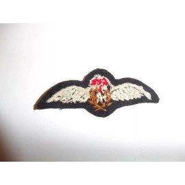 e1670 WW2 British Royal Air Force RAF US type Pilot Wing cloth R21B3