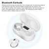 Wireless Earbuds HiFi Stereo Bluetooth 5.1 Headphones with Detachable Earhooks