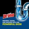 Drano Dual-Force Foamer Clog Remover, Commercial Line, 17 oz |