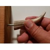 Real Antler Tip Wall Hooks Screw into Wood or Drywall