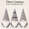 Christmas Gnome Hanging Ornaments - 3-Piece Gray Set with Patterned