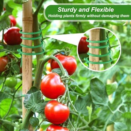 3.5 mm x 20 m Plant Ties