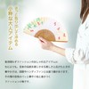Osaka Choseido Folding Fan, Women's, Stylish, Business, Folding Bag, Handkerchief