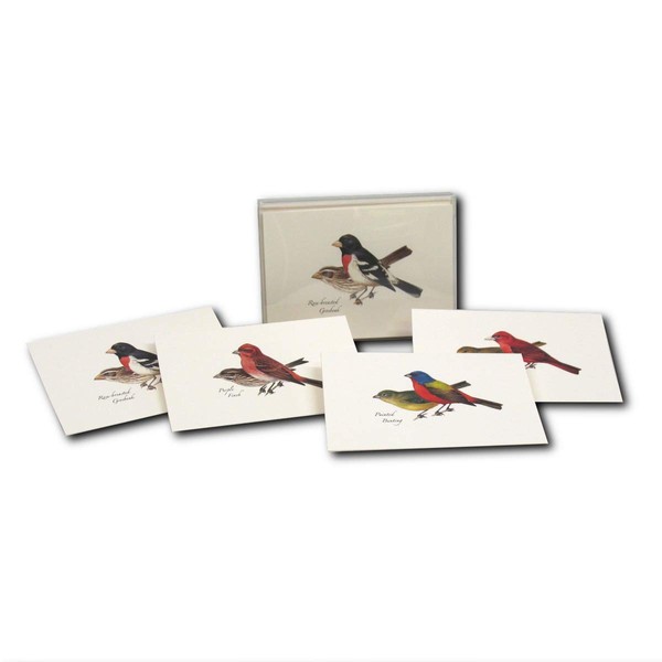 Earth Sky + Water - Peterson’s Bird Assortment II Notecard Set - 8 Blank Cards with Envelopes (2 each of 4 styles)