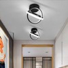 CANEOE Black Led Ceiling Light, 6000K Lighting Fixtures, Metal Creative