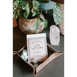 Sugarboo 150 Love Letters to the World, Positive Affirmation Cards, Daily Cards of Encouragement and Inspiration - Use for Thank You Notes, Gifts, Birthdays, and Valentine Notes