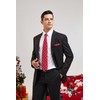 HISDERN Mens Tie Christmas Snowflake Red Ties and Pocket Square