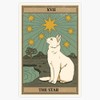 The Star Cat Tarot Waterproof Vinyl Window Bumper Sticker Decal