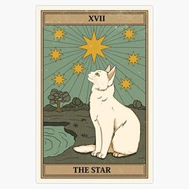 The Star Cat Tarot Waterproof Vinyl Window Bumper Sticker Decal 5"