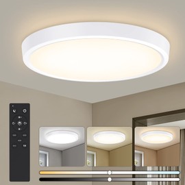 Lámparas para Recámara 30cm 24W 3000K/4000K/6500K Lámpara de Techo LED para Baño, Redonda Plafon Modernas para Cocina/Pasillo/Armario/Baño/Sala Temperatura de Color Brillo Ajustable (Blanco)