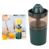 Mini Juicer Green Household Press Juicing Machine Extra 30% Juice