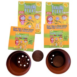 TickleMe Plant Birthday Party Favors (Pack of 2) – Leaves Fold When You Tickle It, Reopen in Minutes – Grow Your Own Fun Interactive Kids Plant Growing Kit, Educational Gift