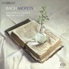 BACH:MOTETS