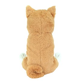 Sun Lemon BE P-8362 Shiba Inu Shiba Inu