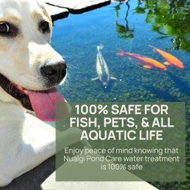 Nualgi Pond Care Natural Pond Cleaner, 500ml, Clarifier for Fish Ponds, Safe for All Aquatic Life Including Koi, Pond Water Clarifier Treats Up to 500,000 Gallons