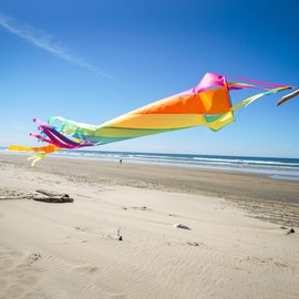 In the Breeze 5228 — 60-inch Fiesta Spinsock — Colorful and Fun Spinning Windsock, Kite Line Laundry…