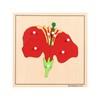 MONTESSORI OUTLET Nature Materials Flower Puzzle Early Preschool Learning Toys