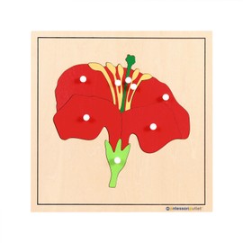 MONTESSORI OUTLET Nature Materials Flower Puzzle Early Preschool Learning Toys for 3-12 Year Old Kids and Toddler