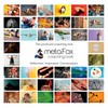 metaFox 'Feelings Palette' - 52 Cards for Self-Expression, Coaching, and