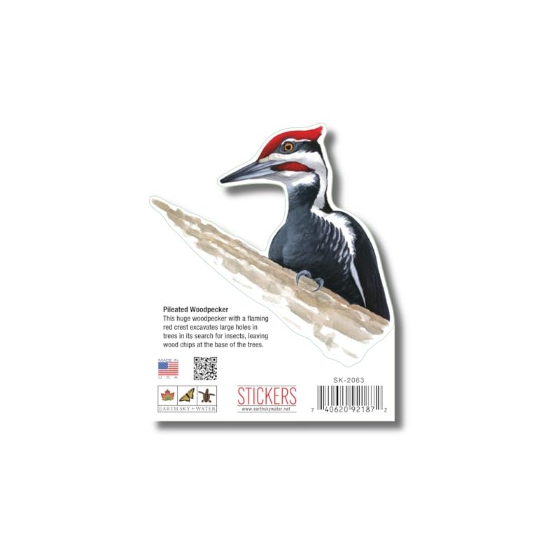 Earth Sky + Water - Pileated Woodpecker - 3.5_ Sticker